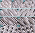 800pcs 20 Rows 3D 4D 5D 6D 8D 10D XXL Tray Handmade Russian Volume